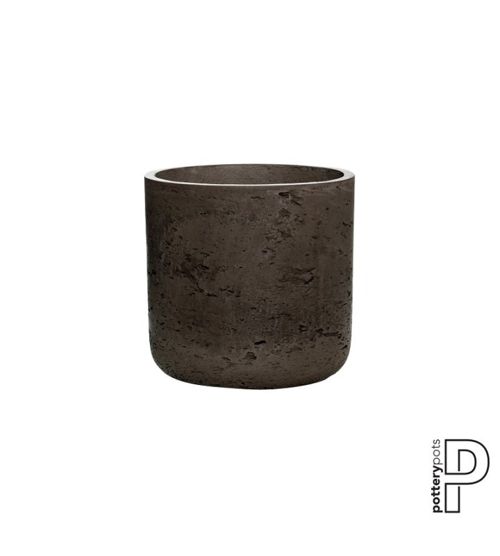 Charlie S, Chocolate Washed