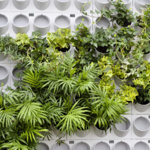 TOP7® – Mur végétal pour intérieur ou extérieur