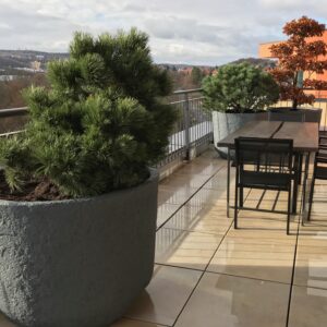 CUP50 – Jardinière ronde effet pierre, performante et passe-partout