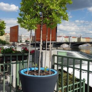 Pot Green City Gamme Colors - Modèle Open