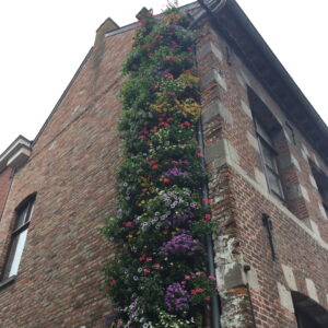 BAL5 – Balconnière végétale 18 alvéoles pour façades et structures autoportantes