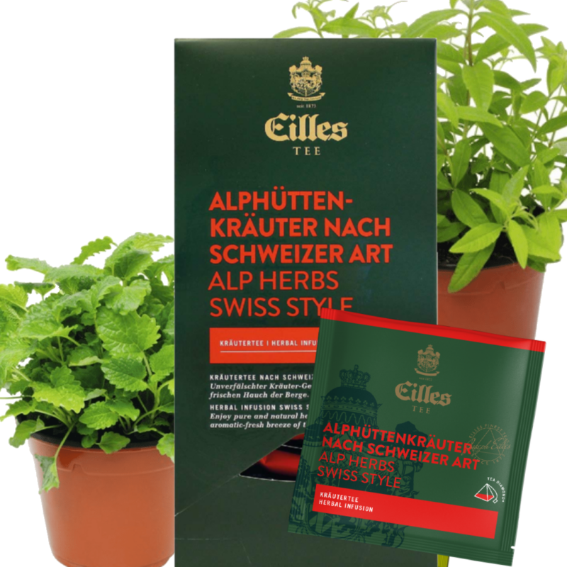 Jard'infusion- Thé Eilles et plantes- Herbes des alpes