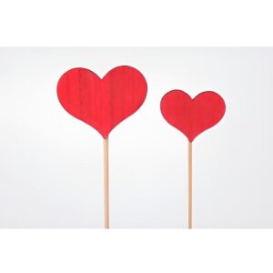 Coeur en bois sur tige 24 pièces
