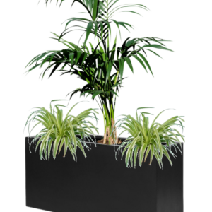 Bac végétalisé Kentia et Vaudoises