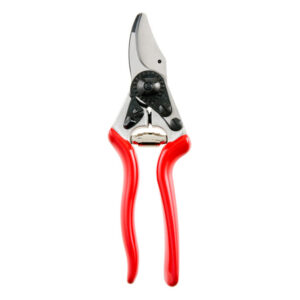 Sécateur - Felco 6